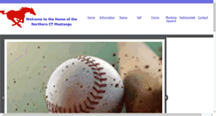 Desktop Screenshot of nctmustangs.com